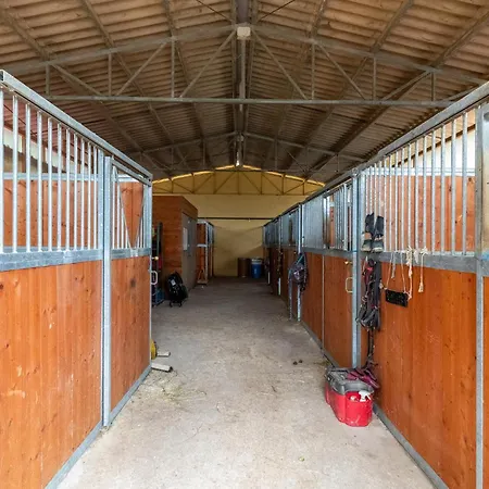 Sotto La Quercia * Monte Santa Maria Tiberina