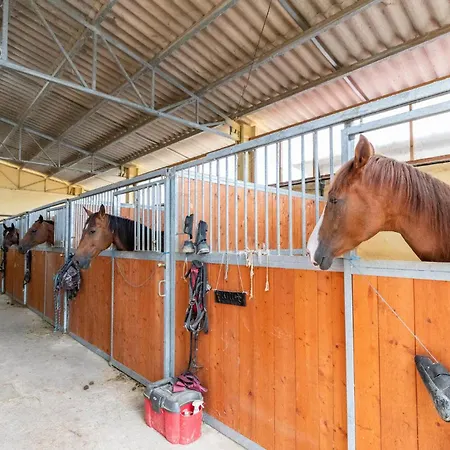 Sotto La Quercia Апартаменты